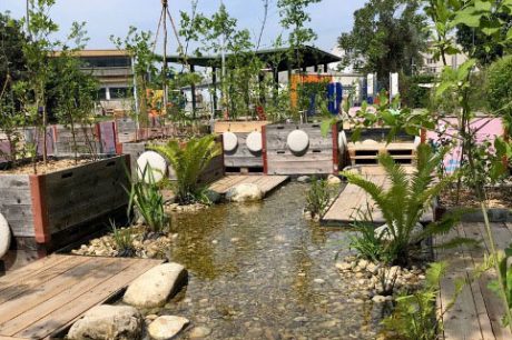 Probach: Renaturierung urbaner Fließgewässer